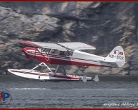 TSR Watermark - 0246